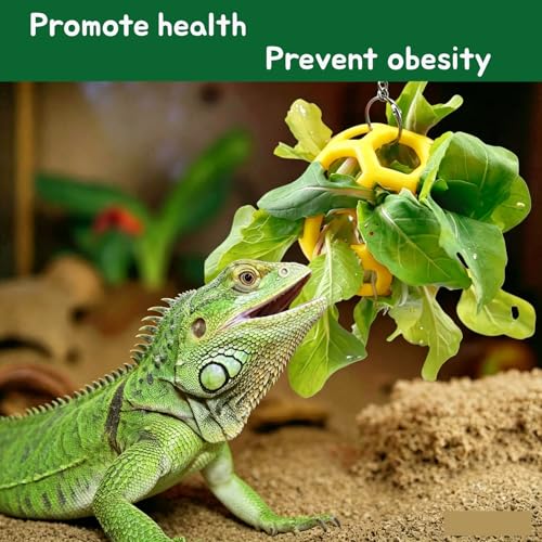 Bearded Dragon Hammock and Feeder Ball, Reptile Enrichment Toys | Suitable for Iguanas, Anoles, Geckos, Snakes, Chameleon,Lizard Hammocks Lounger Bed Rest and Feed Ball