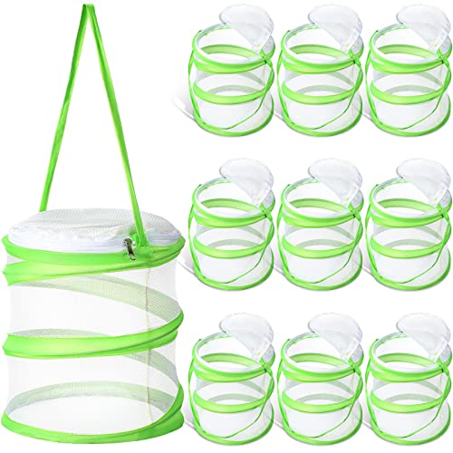 Sherr 10 PcsMini Butterfly Habitat Cage, Clear Mesh Terrarium, Green | Mesh Terrarium for Caterpillar Observation, Folding Small Large with Handle Plus Mini with Lids for Breeding, 6.2x7.1 Inch - color: Green