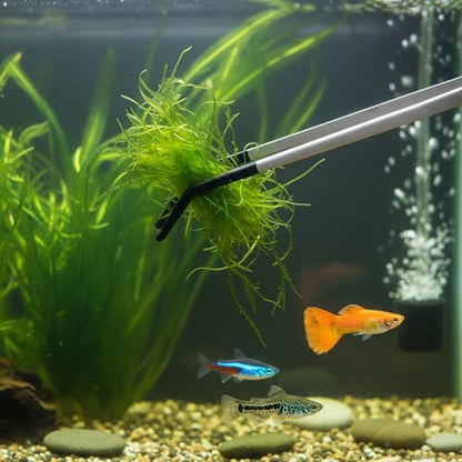 4PCS Reptile Feeding Tongs Long Tweezers for Aquarium Crafts Tank | Stainless Steel Feeding Tongs, 10.6" Straight and Curved Tweezers with Soft Rubber Tip Terrarium Supplies