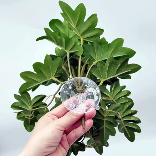 Reptile Plants for Terrarium,Tank Decor,Hanging with Suction Cup | Fake Plants for Gecko Tortoise Snake Enclosure,Amphibian Habitat Decor, Artificial Plants for Tank Accessories-2 pack - color: Philodendron Selloum