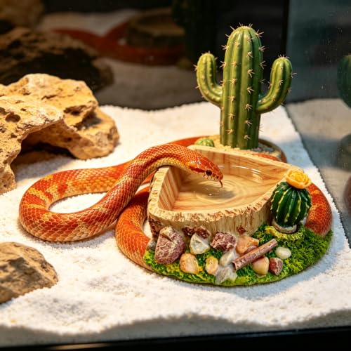 Reptile Food Water Dish, Aquarium Reptile Feeding Dish Bowl for Tortoises Turtles Lizards, Perfect for Gecko, Bearded Dragon, Snake, Frog, Ball Python