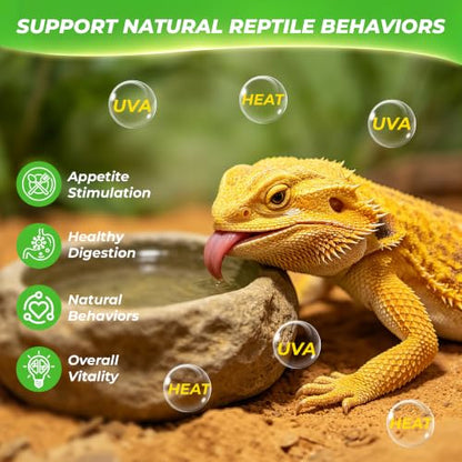 LUCKY HERP Reptile Heat Lamp Bulbs 50W, UVA Daylight Basking Bulbs 2 Pack | Fast Heating, Simulates Natural Sunlight, Ideal for Bearded Dragons Geckos Lizards Turtles Chameleons Amphibians Chickens - size: 50