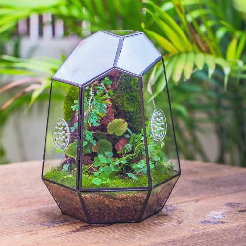 NCYP Closed Geometric Glass Enclosure with Front Opening Door & 2 Vent Holes for Insects, Snail, Moss, Fern - 7.9"x6.9"x9.8" Black Irregular Terrarium - Home Garden Tabletop Decor (No Plants)