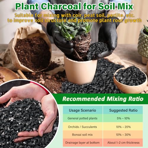 10QT All Natural Horticultural Charcoal- Activated Hardwood Plant Charcoal for Soil Amendment, Conditioning Bonsai Soil, Succulent, Terrarium Supplies, Indoor Plant Potting Soil - color: 10 QT
