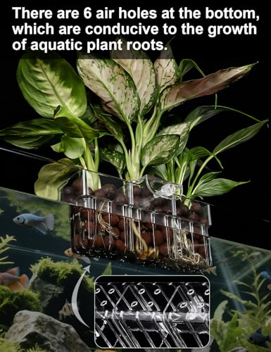 1 Pack Clear Aquarium Plant Holder Top Hanging Fish Tank Plant Holders Fits up to 0.8in Tank Edges, Aquarium Décor - color: Rectangle-White
