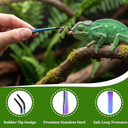 3 Pack Reptile Feeding Tongs,Stainless Steel Feeding Tongs, Aquarium Tweezers with 10.6" Straight, Curved and Spoon Tips for Easy Feeding