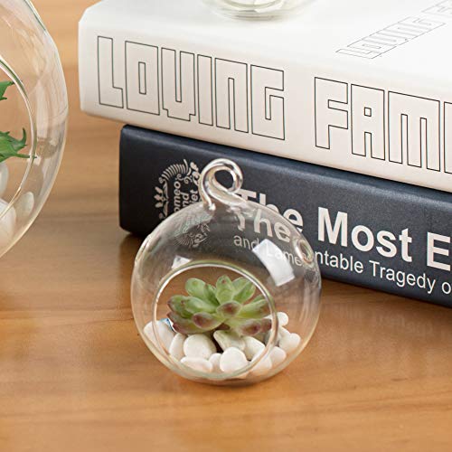 WGV Hanging Terrarium Globe, Width 2.5", Height 3", DIY Air Succulent Planter, Clear Glass Vase Orb with Flat Bottom, Candle Holder for Windowsill Outdoor Garden Decor, 24 Pieces Bulk - size: 2.5" Flat Bottom