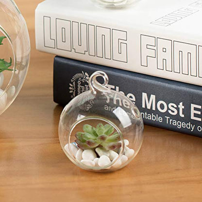 WGV Hanging Terrarium Globe, Width 2.5", Height 3", DIY Air Succulent Planter, Clear Glass Vase Orb with Flat Bottom, Candle Holder for Windowsill Outdoor Garden Decor, 24 Pieces Bulk - size: 2.5" Flat Bottom