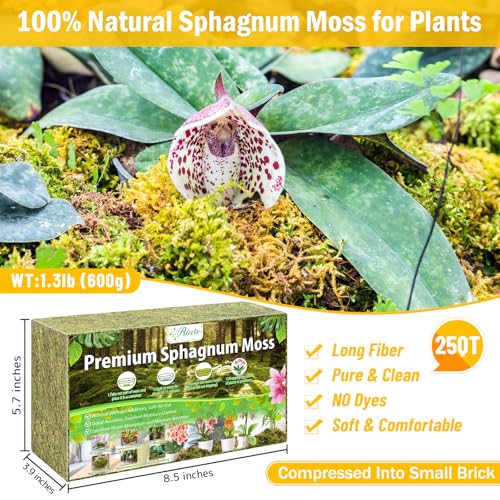 Riare 1.3LB Premium Sphagnum Moss for Plants- 25QT Natural Dried Plant Moss | Moisture Retention & Drainage Orchid Moss for Repotting, Succulents, Carnivorous, Ferns, Green Moss for DIY Craft, Reptiles - size: 25 QT(Appx.1.3lbs)