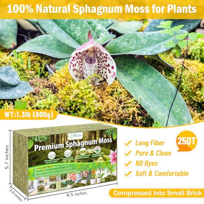 Riare 1.3LB Premium Sphagnum Moss for Plants- 25QT Natural Dried Plant Moss | Moisture Retention & Drainage Orchid Moss for Repotting, Succulents, Carnivorous, Ferns, Green Moss for DIY Craft, Reptiles - size: 25 QT(Appx.1.3lbs)