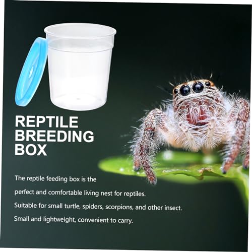 Reptile Feeding Box Plastic Escape Prevention Case | Betta Fish Use, Plastic Build, Compact Size for Breeding or Feeding, Simple Single-Piece Setup
