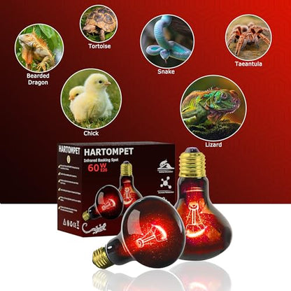 60W Infrared Red Reptile Heat Lamp Bulb, Basking Spot Light | Red Heat Emitter, Provides Gentle Heating for Reptiles, Bearded Dragons, Lizards, Snakes & Terrariums, E26 Base, 2-Pack - color: Red-infrared Heat Lamp, size: 60 Watts