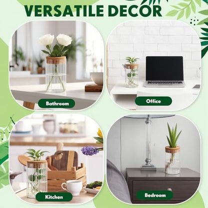 6 Set Propagation Station Jar Desktop Glass Planter Station Flower Vases Water Terrarium Jar with Cork Lid for Propagating Flower Plants Centerpiece Office Home Garden Decor (Small) - size: Small