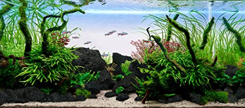 Black Lava Stone Natural Aquascaping Rock 16lb Planted Aquarium | Porous rock; cichlid, shrimp and terrarium - size: 04 Black Lava Stones（3-10inch,16lbs）