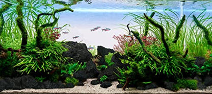 Black Lava Stone Natural Aquascaping Rock 16lb Planted Aquarium | Porous rock; cichlid, shrimp and terrarium - size: 04 Black Lava Stones（3-10inch,16lbs）
