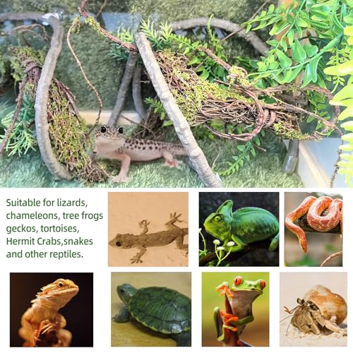 BNOSDM Reptile Vines,Bendable Jungle Climbing Vine,Terrarium Plants Artificial Decor,Tank Decorations Accessories for Bearded Dragons Chameleons Snakes Lizards Hermit Crabs - size: 3Pcs | Style: 47in Jungle Vine