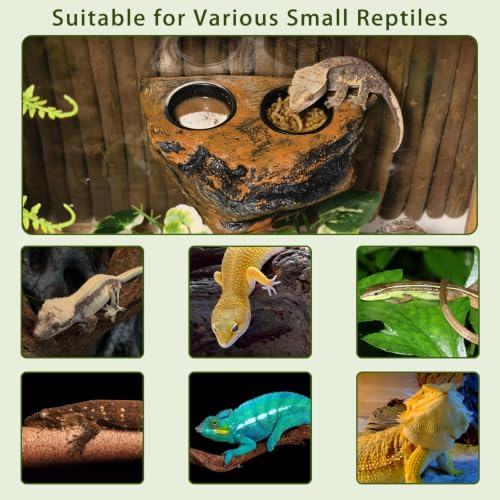 Tfwadmx Magnetic Reptile Feeder Ledge, Gecko Feeder Ledge with 6 Cups Reptile Feeding Bowls Food Dish Water Bowl Tank Accessories for Lizards Chameleons Frog(Blown) - color: Brown