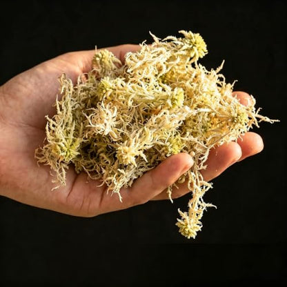 8OZ Compressed Dry Long Fiber Sphagnum Moss, Orchid Moss for Phalaenopsis, Carnivorous Plants & Reptile Terrariums