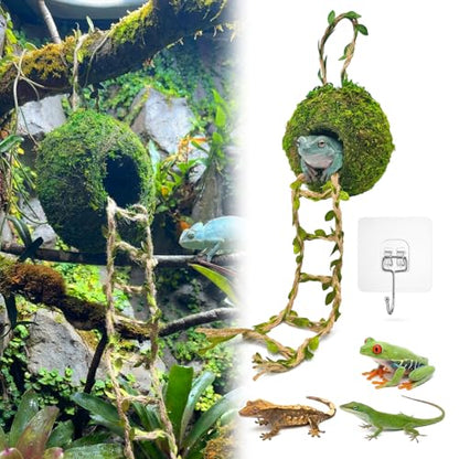 Moss Cave Hideout with Hanging Rope & Hemp Climbing Ladder – Natural Reptile Tank Decor Accessories for Crested Geckos, Chameleons, Tree Frogs, Leopard Geckos & Snakes. Terrarium & Vivarium Decor (4") - size: 4"