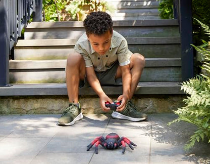 Terra by Battat RC Spider Tarantula with Infrared Remote, LED Eyes, Animals | Realistic tarantula toy with LED eyes, 1 spider and 1 remote control, moves left right forward and spins, Animals, 6+ Years - style: Spider (Red)