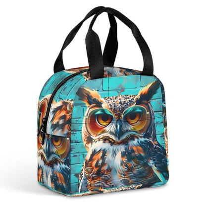 Funny Owl with Sunglasses Lunch Bag for Women Men | Insulated Lunch Box Leakproof Food Meal Containers Reusable Foldable 6L Capacity Lunch Tote Bags for Work Picnic Travel - color: Style 6