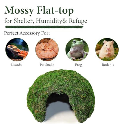 Reptile Moss Hideout, Half Round Cave for Lizards Snakes Frogs | Reptile Moss Hideout, Half-round dome shape, Full moss exterior coverage, Spacious interior room, Stable on all substrates