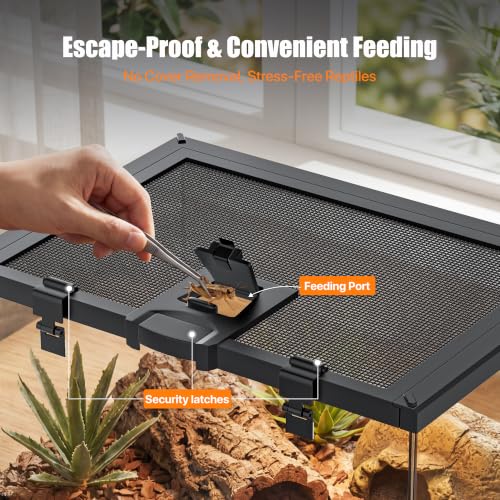 7 Gallon Fully Assembled Glass Reptile Enclosure,12"x 12" x 12" | Top Opening & Escape-Proof Reptile Terrarium Tank for Frog,Geckos,Tarantulas and Other Reptiles and Amphibians - size: 12“L x 12"W x 12"H