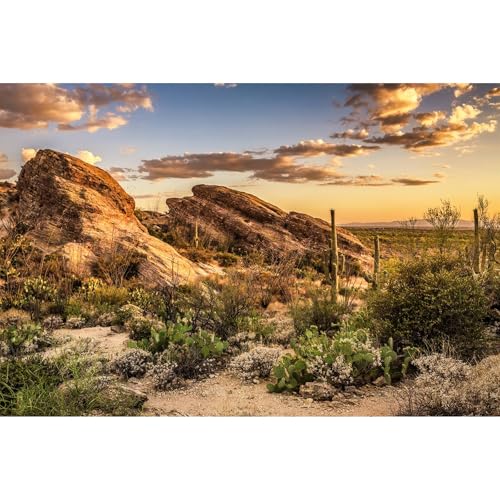 Desert Mountain Reptile Tank Background Sunset Rock Mountain Gobi Aquarium Background Blue Sky Gobi Barren Thorns Mountain Reptile Enclosure Backgrounds Cactus Mountain Fish Tank Backgrounds 30x18in - color: Gobi Orange, size: 30(W)x18(H)in