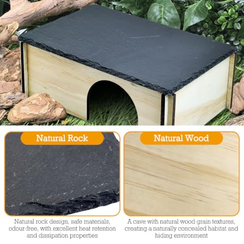 PINVNBY Large Bearded Dragon Basking Platform, Wooden Snake Hide, Ball Pythons Hide with Slate Rock, Leopard Gecko Tank Accessories for Geckos, Crested Gecko Chameleon Turtles (L: 11.8x7.87 inches) - size: L: 11.8x7.87 inches