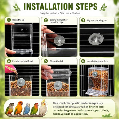Rypet No-Mess Bird Feeder and Water Dispenser Set for Small Birds | Automatic Bird Feeder, Transparent Acrylic Food Container, Helps Reduce Seed Scatter, for Parakeet Cockatiel Parrot Canary - color: Feeder + Drinking Bottle