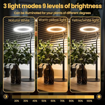 bseah Grow Light, Plant Stand Light for Indoor Plants 2 Pack, Full Spectrum Desk Grow Lamp with Pedestal, Automatic Timer for 3H/9H/12H, Height Adjustable - color: Black 2 Pack