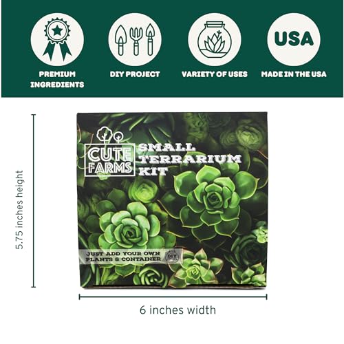 Terrarium Starter Kit | Moss, Vermiculite, Soil, Pebbles, Plant Food, Finishing Tools, Build and Care Guide | DIY Succulent Terrarium (Small) - size: Small Kit