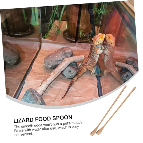 2pcs Stainless Steel Reptile Feeding Spoon Set for Lizard Food Long Handle PET Food Scoops for Small Animals for Terrarium and Aquarium Use - color: Rose Gold