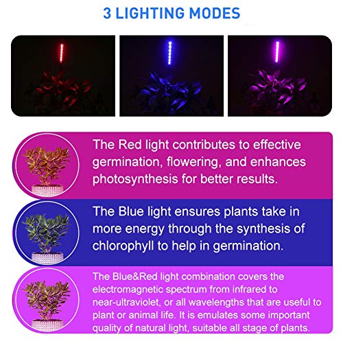 LED Grow Lights for Indoor Plants 20 LED, Plant Growing Lights Full Spectrum Auto ON Off with 3/9/12H Timer, 9 Dimmable Lightness Clip-On Desk Grow Lamp Bulb | Full Spectrum Plant Lamp,Clip-On Desk Grow Lamp Bulb,3/9/12H Timer,9 Dimmable Lightness,3 Light