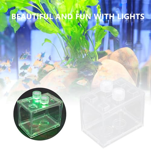 HOMSFOU Mini LED Light-up Acrylic Aquarium Kit, Small Desktop Terrarium with Full Spectrum LED Light, Creative Micro Aquatic Ecosystem for Home and Office Decor
