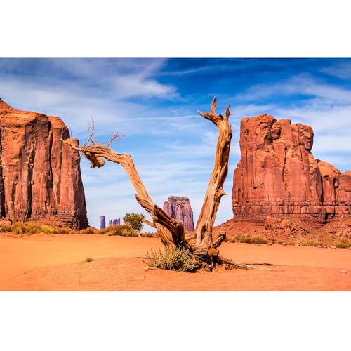 Reptile Habitat Background Desert Clear Blue Sky Backdrop Sandstone Rock Mountain Scenery Terrarium Background Aquarium Background Durable Polyester Background Vinyl 24x12in - color: Gobi Tan, size: 24(W)x12(H)inches/ 60(W)*30cm(H)