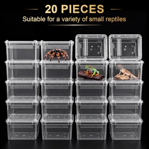 Irenare 20 Pcs Reptile Breeding Box Plastic Spider Enclosure Tarantula Feeding Box for Small Reptile Acrylic Carrier for Mantises, Hermit Crabs, Snails and Small Pet(7.48 x 4.92 x 2.95 Inch, Standard) - size: 7.48 x 4.92 x 2.95 Inch, style: Standard