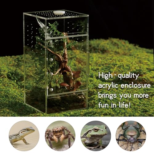 Acrylic Terrarium for Reptiles & Spiders – Small/Medium/Large Leak-Proof Enclosure (Horizontal/Vertical) | Ideal for Tarantulas, Jumping Spiders, Frogs & Geckos(Small, Vertical) - size: Small