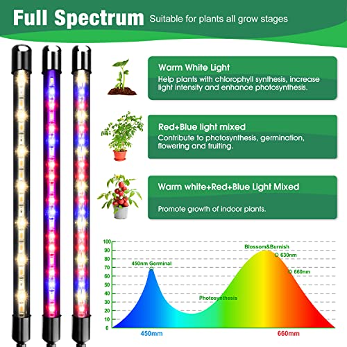 Grow Lights for Indoor Plants, 2 Heads Clip On Plant Light, 40 LEDs | RedBlue Plant Light, Timer 6/12/16Hrs, 3 Spectrums, 5 Dimmable Levels, Flexible Gooseneck - size: (1 Pack)2 Arms