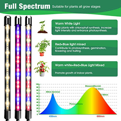 Grow Lights for Indoor Plants, 2 Heads Clip On Plant Light, 40 LEDs | RedBlue Plant Light, Timer 6/12/16Hrs, 3 Spectrums, 5 Dimmable Levels, Flexible Gooseneck - size: (1 Pack)2 Arms
