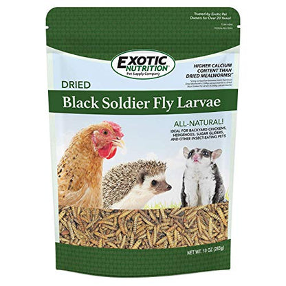 Bulk Dried Black Soldier Fly Larvae (10 oz.) - High-Calcium Insect Treat - Chickens, Wild Birds, Hedgehogs, Bluebirds, Reptiles, Sugar Gliders, Opossums, Skunks, Lizards, Bearded Dragon, Fish - size: 10 Ounce (Pack of 1)