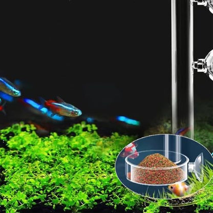 2Pcs Round Transparent Acrylic Fish Tank Feeder Dish with Suction Cups Clear Aquarium Shrimp Feeder Dishes Food Tray Container (60MM)
