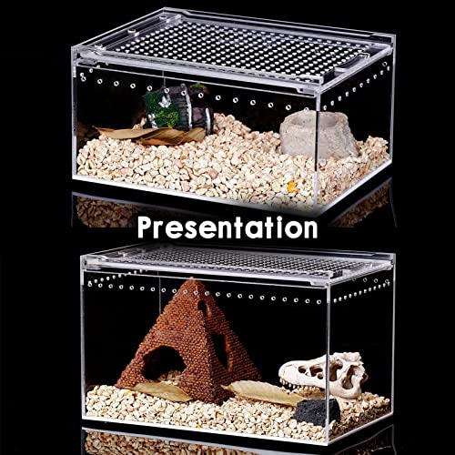 Reptile Terrarium - Amphibian Tank Starter Kit, Eco Rainforest Feeding Box, Amphibian Feeding Box, Suitable for breeding Lizards, Snakes, Chameleons,Jumping Spiders
