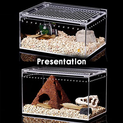 Reptile Terrarium - Amphibian Tank Starter Kit, Eco Rainforest Feeding Box, Amphibian Feeding Box, Suitable for breeding Lizards, Snakes, Chameleons,Jumping Spiders