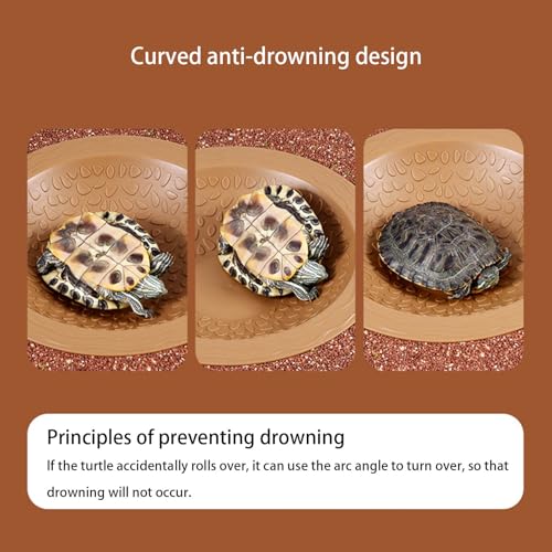 Reptiles Soaking Dish Water Pool Large Bathing Bowl for Turtles Lizards Frogs Amphibians Habitats Decoration Reptiles Amphibians Water Bowl