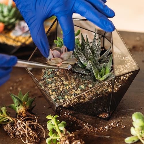 Doter Terrarium Potting Soil Mix 2qt, Custom Made for Terrariums, Perfect for Vibrant Miniature Gardens - size: 2qt
