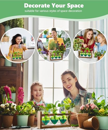 Nacome Plant Terrarium with Wooden Stand, 3 Heart Bulb Glass Vases | Wooden Stand Tabletop for Air Planter, Gifts for Mom Plant Lovers Mom Women Wife Grandma - color: Green