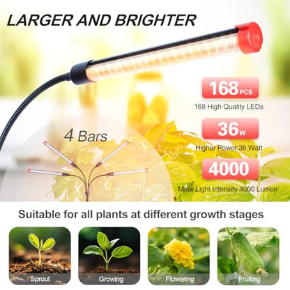FECiDA 2026 4Head Table Top Grow Lights for Seed Starting, Indoor Plants, Bonsai, 36 Watt Power Draw, NO Need Adapter, 4/8/12/16/20H Timer, 16"-24" Height Adjustable - size: Desk-4Head-36W