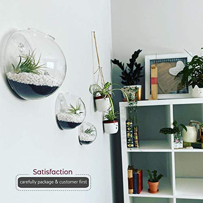 WGV Wall Hanging Planter Terrarium Bulk, Diameter 6", Clear Mounted DIY Succulents Air Glass Floral Container Vase, Tea Light Votive Candle Holder for Decoration 6 Pieces - size: 6"D