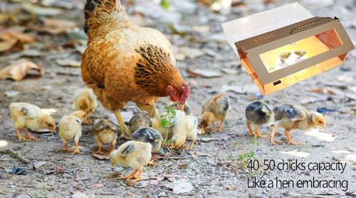 5 in 1 Chick Starter Kit 40-50 Chick Brooder Box Small Chicken Coop | Brooder Heat Lamp 2,Baby Chicken Box,Chicken Feeder,Waterer,Thermo-hygrometer